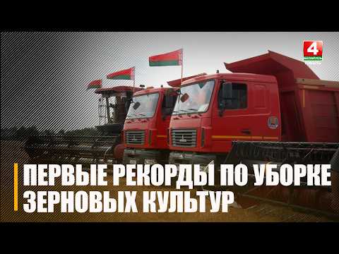 Первые рекорды по уборке зерновых и зернобобовых культур официально зафиксированы на Гомельщине