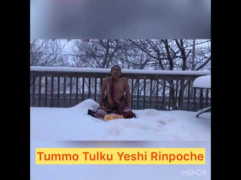 download lagu mp3 mp4 Tulku Yeshi Rinpoche, download lagu Tulku Yeshi Rinpoche gratis, unduh video klip Tulku Yeshi Rinpoche