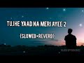 Tujhe Yaad Na Meri Ayee  2 - (Slowed+Reverb) | B Praak | Black Spyder Editz