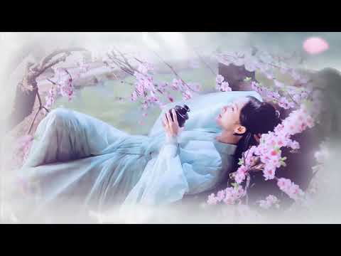 3 HOURS of The Best Traditional Chinese Bamboo Flute Music#InnerCalm