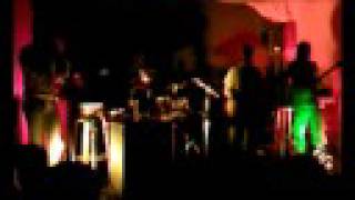 autumn green lizard (berny bird)