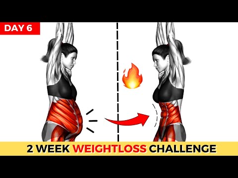 Do This 30 Min Everyday To Lose Weight Belly Fat 2 Weeks Shred Challenge DAY 1