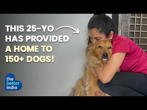 This 25-year-old woman is rescuing, feeding and sterilising street dogs!