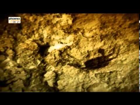 Magische Welten Dokumentation Arte Sahara  Aufbruch ins Ungewisse Teil 1