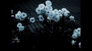 Sopor Aeternus - Ich Wollte Hinaus In Den Garten - Subtitulos español