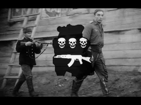 [TNO] Zolin Brigade - Anthem