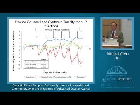 Building Bridges Symposium, May 2014: Cima/ Birrer