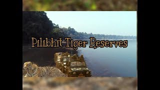 preview picture of video 'Pilibhit Tiger Reserves ( U.P) [Chuka beach,  Forest,. Wildlife ] HD480P [ GREAT INDIA ]'