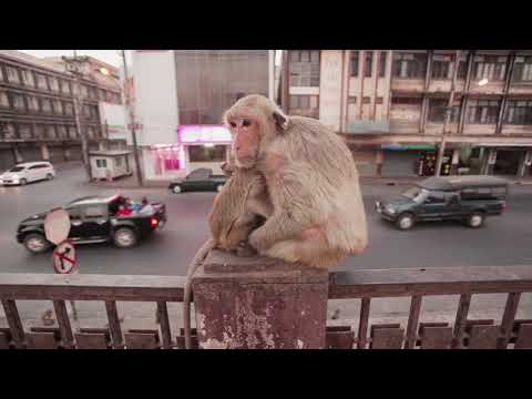 Rađanje zemlje s07 ep3 - Kako živjeti zajedno - Subota 17:30