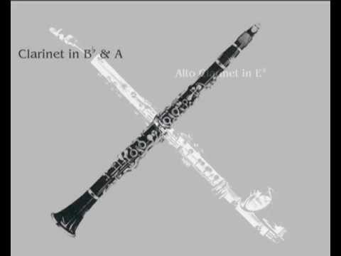 23 Clarinets - Clarinet Choir - Rossini, Tancredi Ouverture