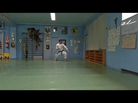 HEIAN NIDAN SHITO RYU JONATHAN CHESI