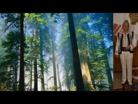 Ion Maovei - Hutaneasca ( Tel. interpret: 0748333535 )