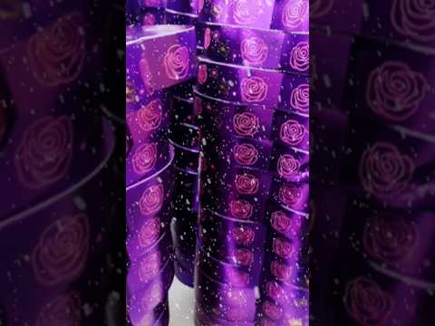 Cadbury Dairy Milk Silk Heart & Rose #shorts #viral