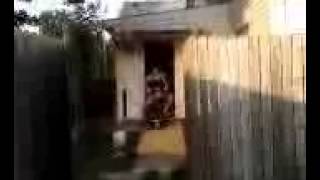 Jack ass gurls the fucked up versions.?!