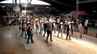 Voghera 2012 - Wild Swivel - Advanced