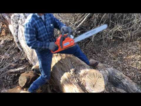 Relocating the largest oak tree on the ranch
