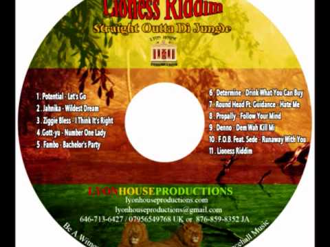 LIONESS RIDDIM MIX (LYON HOUSE PRODUCTIONS) BY DJ PEANUT