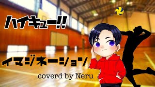 【ハイキュー!!】イマジネーション/SPYAIR covered by Neru 【歌ってみた】