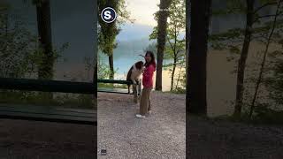 Download lagu Photogenic Pooch Poses for Tourists at Idyllic Location mp3