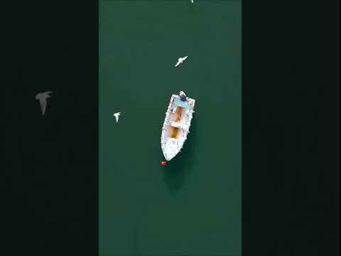 Lake Nurigel Batimi, Georgia #lake #park #batumi #birds #flydrone #dji #travel