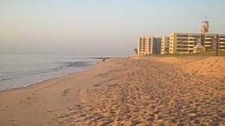 Sea Turtle Nesting - Palm Beach, Florida  7-18-09