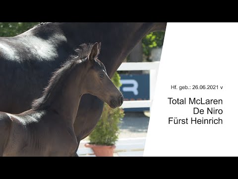 Hf v Total McLaren x De Niro x Fuerst Heinrich 2021