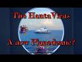 The Hanta Virus A New Plandemic A Reading With Crystal Ball And Tarot