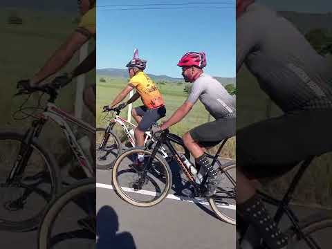 giro do gordinho maribondo al