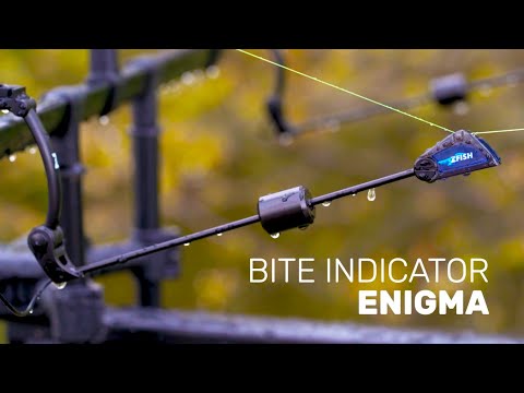 ZFISH - Indikátor Enigma sada 4 ks