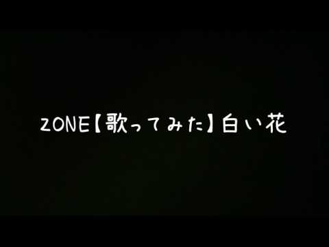 白い花音域 Zone Hi Voice 白い花音域 Zone Hi Voice