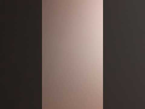 Corrupt public defender Micheal Ruiz.