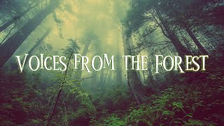 - 【Inst】Voices from the Forest【オリジナル曲】