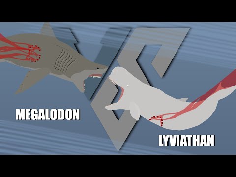 Megalodon vs Livyatan | Animation