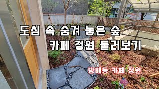 그늘 화단에서 아름다운정원으로  변신한 카페정원          /조경/