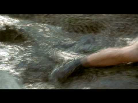 Crocodile Hunter Collision Course Spot