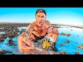 My Finger Got Bit OFF - World's Deadliest Octopus DEFAULT Thumbnail