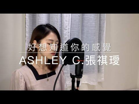 Cita-Ashley C.張祺璦-《璦勢力》Cover Challenge 網路歌唱大賽