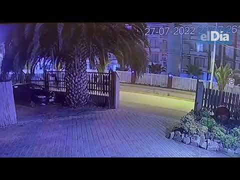 Menor es baleado en la cabeza en plena calle de La Serena