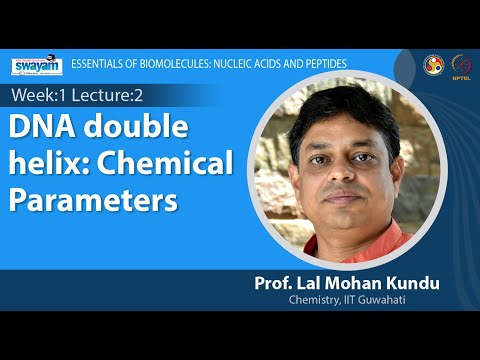 Essentials of Biomolecules Nucleic Acids and Peptides
