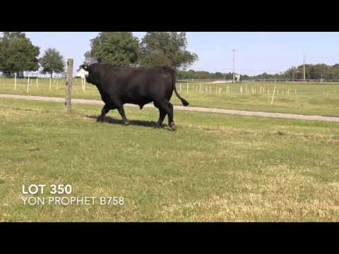 Lot 350 Yon Prophet B758