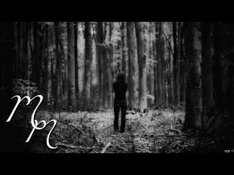 [Melodic House] Alan Walker - Force