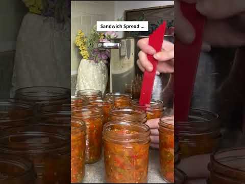 I Tried 5 Ways To Preserve Tomatoes And This Happened!