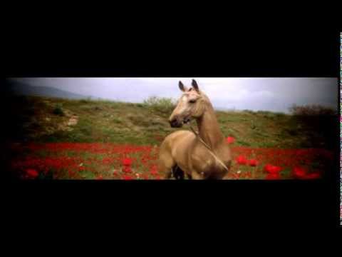 Seyis 2013 - TMfiles