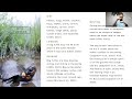 The Bog Turtle Conservation plan