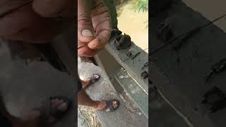 Olha o perigo! Agulhas de acupuntura, peguei um monte delas na pesca magnética!