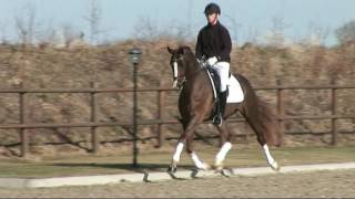 Video von De L'Or