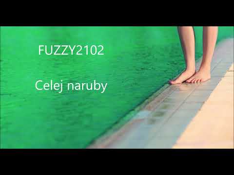 Fuzzy2102  -  Celej naruby  (2020)
