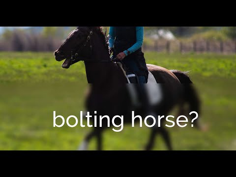 How to ride a BOLTING horse!