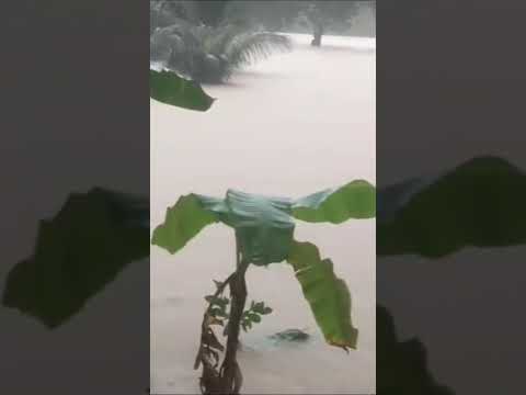 grande chuva forte em Ribeirão Pernambuco