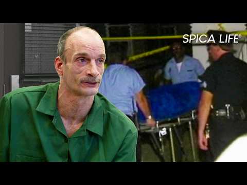 TUEUR EN SERIE, histoire glaçante... Sur LES TRACES DU CRIME américain